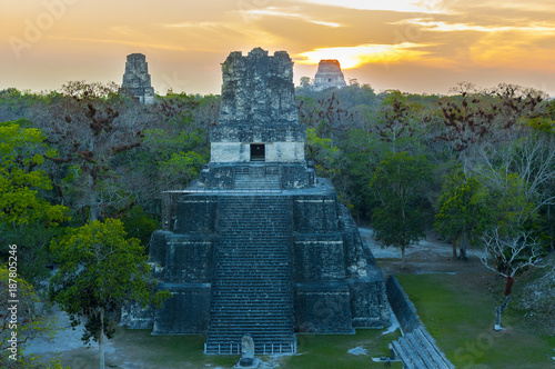 Plakat Panoramiczny widok na piramidy Tikal Gran Jaguar w Peten, Gwatemala. Kultura Majów.