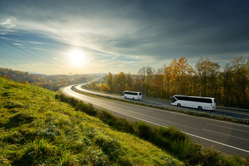 Wall Mural - white buses traveling on the highway turning towards the horizon in an autumn landscape at sunset