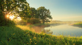 Spring sunny morning