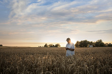 Farmer Examining Wheat In Field