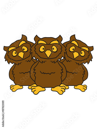 team crew gruppe 3 freunde lustig cool eule kauz uhu vogel nacht fliegen  comic cartoon clipart - Buy this stock illustration and explore similar  illustrations at Adobe Stock | Adobe Stock