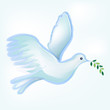 Peace dove symbol logo