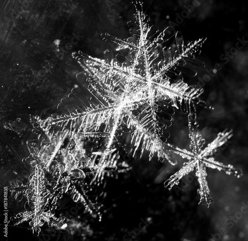 White snowflake on a black background Stock Photo | Adobe Stock
