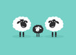 Vector of family sheep on blue background, Farm. Animals. Difference concept. Easy editable layered vector illustration.