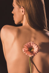 back view of tender naked girl with gerbera flower, isolated on brown