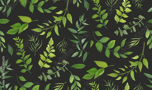 Seamless pattern of Eucalyptus palm fern different tree, foliage natural bran...