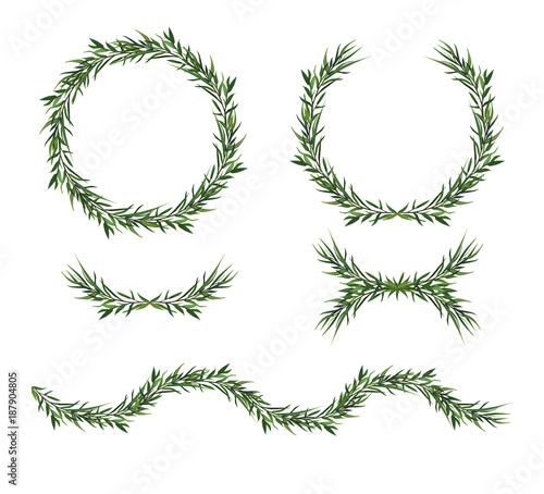 Vector, decorative big element set. Eucalyptus green Leaves round Wreath, gre...