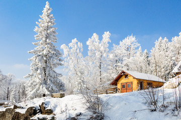 winter landscape with snow on trees