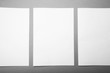 Three white sheets of A4 format in a row on a gray background, design options. Mock-up.