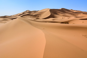  Sahara Desert, Erg Chebi dunes. Merzouga, Morocco