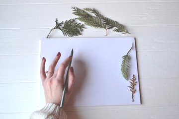 Wall Mural - White paper with decoration on the white wooden desk, top view. The pencil in woman's hand.