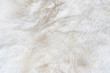© dero2084 - Natural white fur background, design template, place for text
