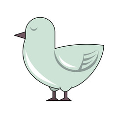 Poster - Dove cute bird icon vector illustration graphic design