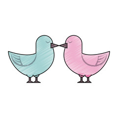 Wall Mural - Cute doves in love icon vector illustration graphic design