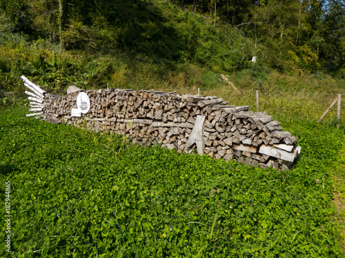 Brauner Grosser Holz Fisch Als Garten Kunst Kaufen Sie Dieses