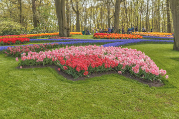 Blooming flowers in park