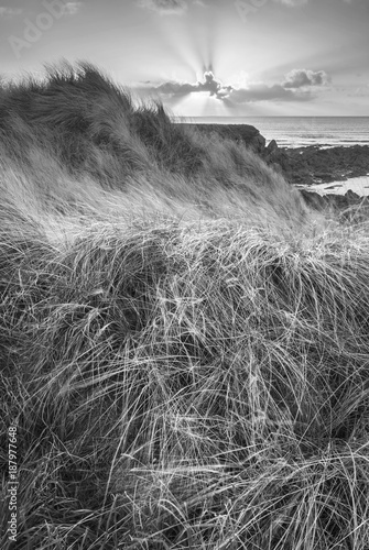 Foto-Gardine - Beautiful black and white landscape image of Freshwater West beach with sand dunes on Pembrokeshire Coast in Wales (von veneratio)