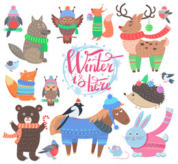 Sticker - Winter is Here Poster Animals Vector Illustration