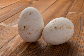 Wall Mural - side view goose eggs on wood background