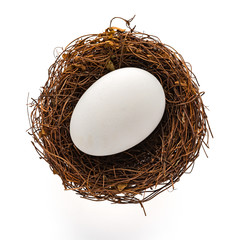 top view goose egg on nest on white background