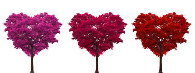Wall Mural - red heart-shaped tree