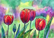 Red colorful decorative tulips. Watercolor hand drawn illustration