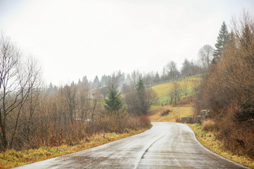 Poster - Beautiful countryside landscape in morning