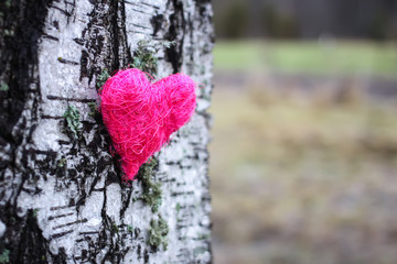 Decorative heart on birch tree bark.