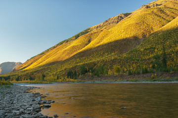 Canvas Print - Fall in Montana