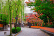 © Route16 - 京都　祇園白川の桜紅葉