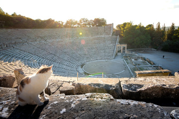 Fototapete - The ancient theater of Epidaurus (or 