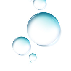 Wall Mural - transparent water droplets