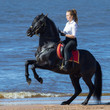 Horse woman and rearing Andalusian horse on beach