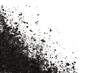 Pile of Carbon charcoal  splash isolated on white background top view