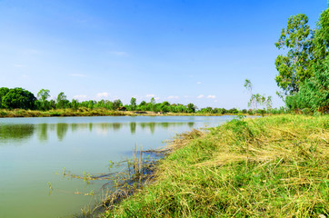 Rivers and river banks There are green meadows and large trees alternating with the blue sky.