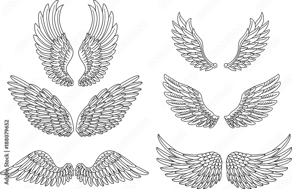 Heraldic wings set for tattoo or mascot design - obrazy, fototapety, plakaty 