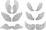 Fototapeta Kosmos - Heraldic wings set for tattoo or mascot design