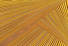 Abstract Photo Montage Of Yellow Orange Timber. Converging Lines Of Planks.