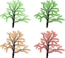 Wall Mural - vector image of a tree in four different settings
