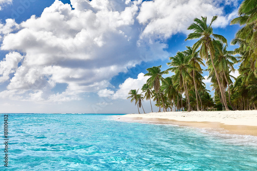Paradise Beach Tropical Paradise White Sand Beach Palm Trees And Clear Water Stock Photo Adobe Stock Paradise Beach Tropical Paradise White Sand Beach Palm Trees And Clear Water Stock Photo Adobe Stock