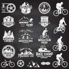 Wall Mural - Mountain biking collection. Vector illustration.