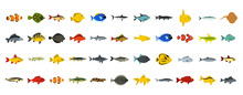 Fish Icon Set, Flat Style