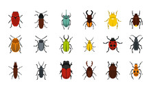 Bugs Icon Set, Flat Style