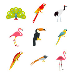 Wall Mural - Exotic birds icon set, flat style