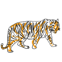 Wall Mural - vector, isolated sketch tiger orange