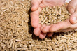 Wood pellets in hand close up .Biofuels. Biomass Pellets, from sawdust.