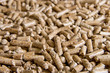 Wood pellets close up .Biofuels. Biomass Pellets - cheap energy. The cat litter.