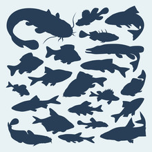 Vector Silhouettes Of River Fish