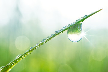 Aufkleber - Large drop of water sparkles in sunshine on a leaf of grass close-up macro. Grass in  morning dew in the spring summer on a green background in nature.
