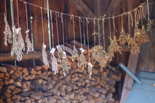 Grass Hang And Dry Near Wood